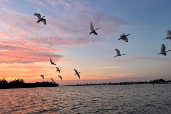 Top-Tier Kayak Fishing Tours To Spoil Islands Central Florida