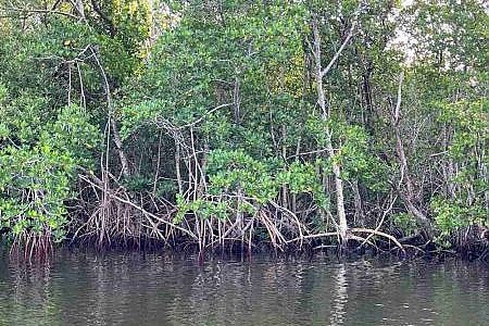  Fishing at Melbourne Beach and Spoil Islands