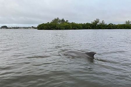 Full-Day Kayak Fishing Trips To Long Point State Park For All Anglers